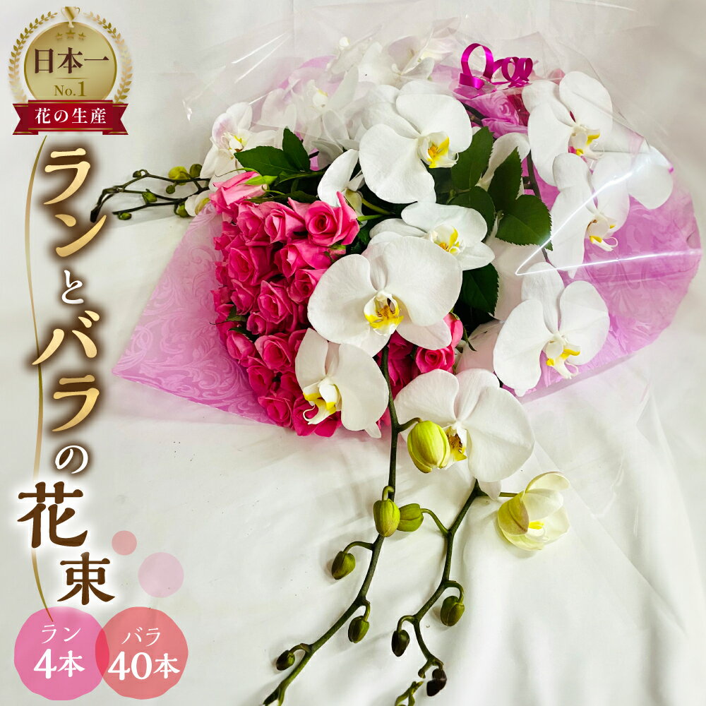 【ふるさと納税】ランとバラの花束 ラン4本 バラ 40本 色が選べる カラー 花束 薔薇 胡蝶蘭 花束 生花 ギフト プレゼント 日時指定可 愛知県 田原市 70000円 7万円