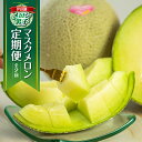 【ふるさと納税】【定期便】先行予約 マスクメロン 2回 伊良湖産 2玉 2Lサイズ 2025年7月スタート 箱詰め メロン フルーツ 果物 お中元 お取り寄せ ...