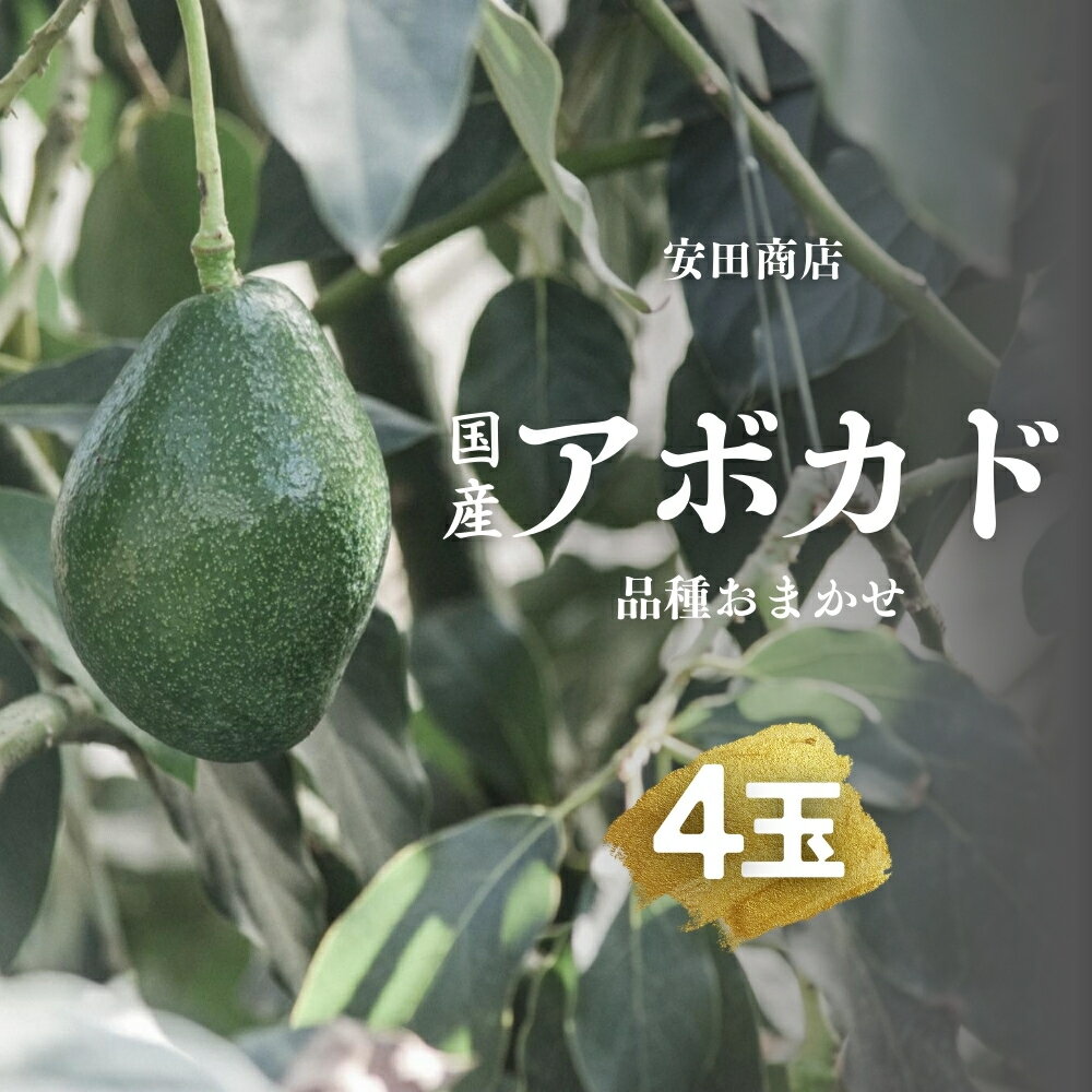 【ふるさと納税】先行予約 田原アボカド 旬のおまかせ 4個 国産 アボカド ハス種 ピンカートン ベーコン ハウス栽培 こだわり 野菜 逸品 栽培 特産品 安田商店 送料無料 国産アボカド 期間限定 数量限定 先行予約14000円のサムネイル