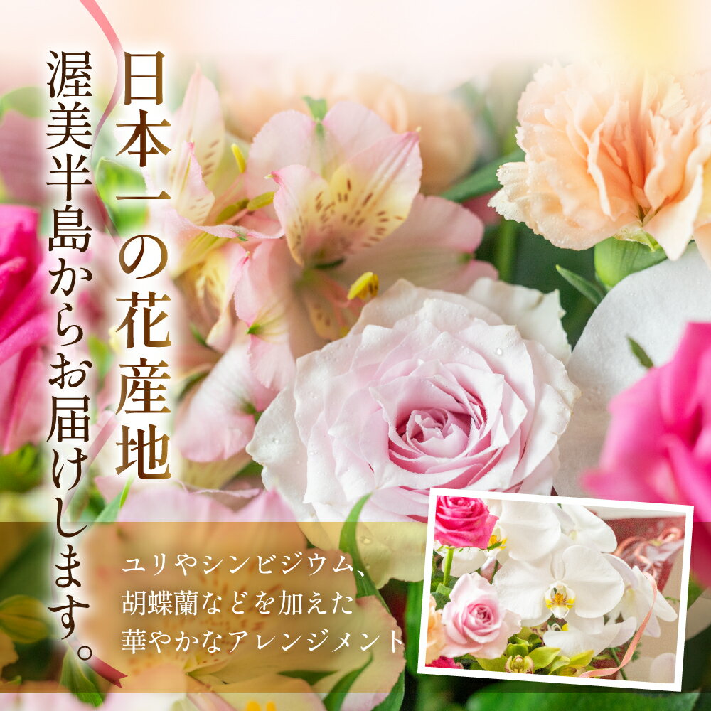 愛知県田原市の画像2