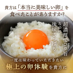 【ふるさと納税】感動 極上卵 60 個 割れ保証付き たまご カミヤタマゴ たまこちゃん 卵 鶏卵 玉子 たまごかけご飯 お取り寄せ 小分け 生卵 濃厚 ケーキ お菓子 づくり 高級 定期便 3ヶ月 6ヶ月 12ヶ月 卵かけご飯 TKG 卵料理 玉子 毎月 定期 幻 入手困難 人気 濃厚 60個･･･ 画像1