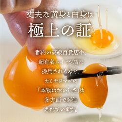 【ふるさと納税】感動 極上卵 60 個 割れ保証付き たまご カミヤタマゴ たまこちゃん 卵 鶏卵 玉子 たまごかけご飯 お取り寄せ 小分け 生卵 濃厚 ケーキ お菓子 づくり 高級 定期便 3ヶ月 6ヶ月 12ヶ月 卵かけご飯 TKG 卵料理 玉子 毎月 定期 幻 入手困難 人気 濃厚 60個･･･ 画像2