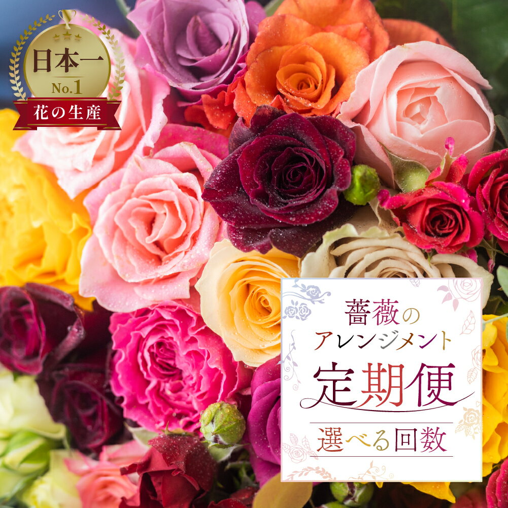 11位! 口コミ数「0件」評価「0」【定期便】回数が選べる 薔薇 アレンジメント 花束 (20本+ユーカリ) 6回 12回 お届け 6ヶ月 12ヶ月 アレンジブーケ バラ ロー･･･ 