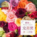 【ふるさと納税】【定期便】回数が選べる 薔薇 アレンジメント 花束 (20本+ユーカリ) 6回 12回 お届け 6ヶ月 12ヶ月 アレンジブーケ バラ ローズ 生花 赤 ピンク 色おまかせ プレゼント 花 ギフト 誕生日 植物 フラワー 産地直送 田原市 人気 切り花 切花