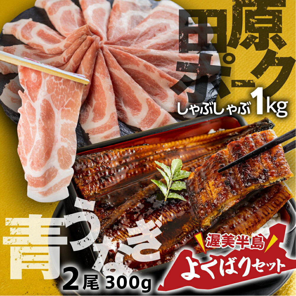 【ふるさと納税】幻の青うなぎ & 田原ポーク セット うなぎ 訳あり 蒲焼 2尾 国産 豚肉 食べ比べ 500g × 2 計 1kg ウナギ 鰻 蒲焼き 最高級 長蒲焼 特大サイズ 楽天限定 土用丑の日 丑の日 簡単調理 惣菜 小分け 個包装 どうまい 定期便 (2回)