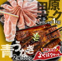 11位! 口コミ数「0件」評価「0」幻の青うなぎ ＆ 田原ポーク セット うなぎ 訳あり 蒲焼 2尾 国産 豚肉 食べ比べ 500g × 2 計 1kg ウナギ 鰻 蒲焼き 最･･･ 