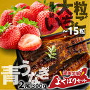 【ふるさと納税】幻の青うなぎ & いちご セット うなぎ 訳あり 蒲焼 2尾 大粒 激甘 苺 ギフト箱入り 青鰻 ウナギ 鰻 蒲焼き 最高級 長蒲焼 特大サイズ...