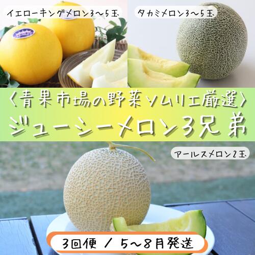 【ふるさと納税】 青果市場の野菜ソムリエ厳選 ジューシー メロン 3兄弟 定期便 全...
