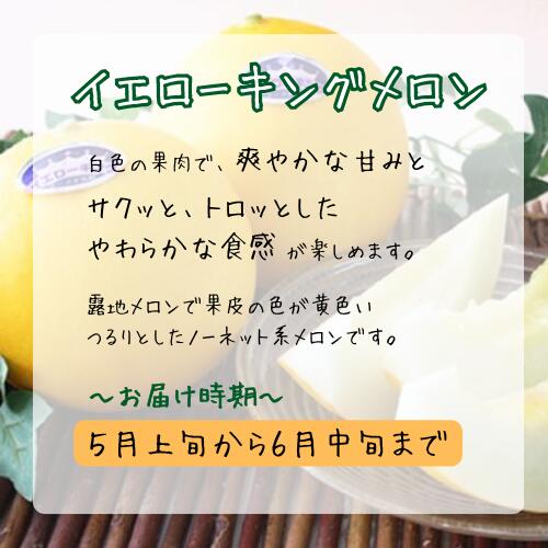 【ふるさと納税】 青果市場の野菜ソムリエ厳選 ジューシー メロン 3兄弟 定期便 全3回 メロン イエローキング タカミメロン アールスメロン 渥美半島 伊良湖潮風育ち 田原市 お取り寄せ 産地直送 送料無料 メロン 糖度 メロン 青肉 ド甘い 暑さ 対策 暑さ対策