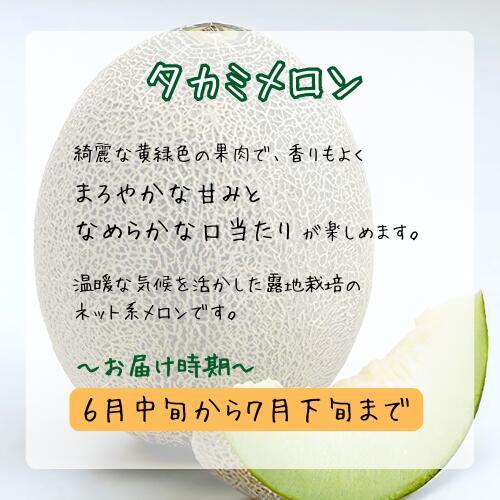 【ふるさと納税】 青果市場の野菜ソムリエ厳選 ジューシー メロン 3兄弟 定期便 全...