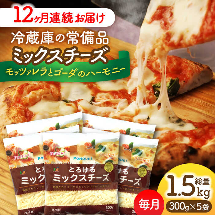 【ふるさと納税】【12回定期便】 ミックスチーズセット 300g×5袋 12ヵ月お届け 合計18kg チーズ 大容量 個包装 愛西市/株式会社ヨシダコーポレーシ...