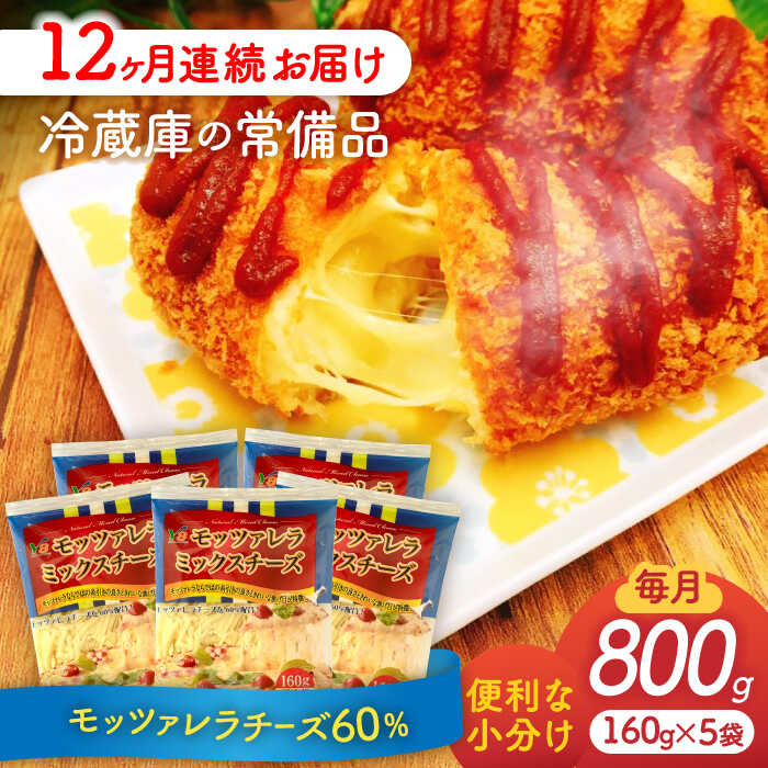 【ふるさと納税】【12回定期便】 モッツァレラミックスチーズ 160g×5袋 12ヵ月お届け 合計9.6kg チーズ 個包装 ミックスチーズ 愛西市/株式会社ヨ...