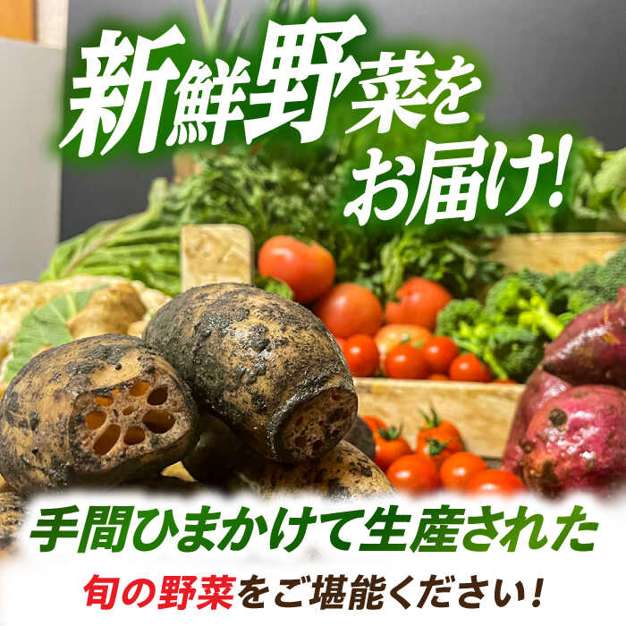 【ふるさと納税】とくとく市場厳選 旬の野菜詰合せ セット 【有限会社FKMジャパンダイニング】 野菜BOX 旬 厳選 【配達不可：離島】[AEAE001]