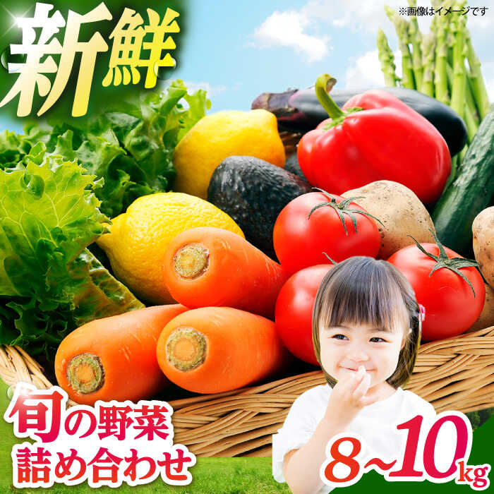 【ふるさと納税】とくとく市場厳選 旬の野菜詰合せ セット 【有限会社FKMジャパンダイニング】 野菜BOX 旬 厳選 【配達不可：離島】[AEAE001]