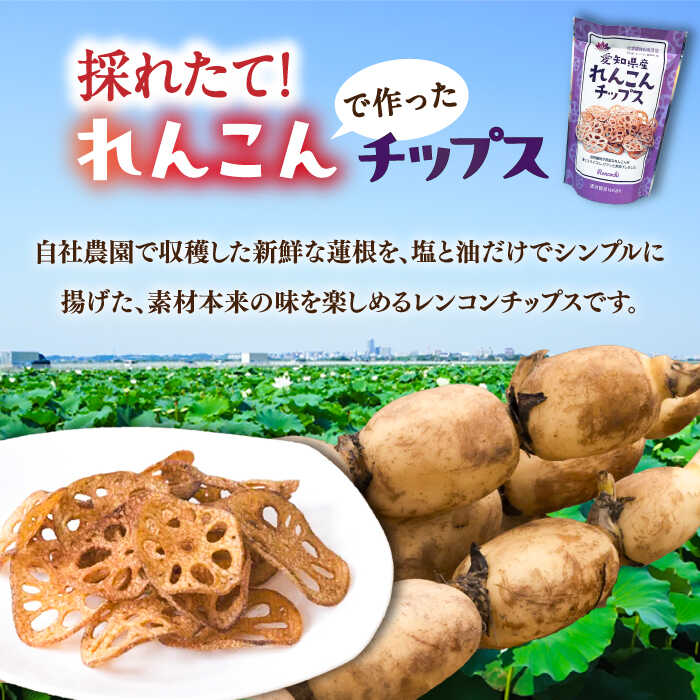 【ふるさと納税】 れんこん 蓮根チップス 30g×5P れんこん レンコン 愛知県産 野菜 産地直送 愛西市 / 清水食品 [AEAJ003]