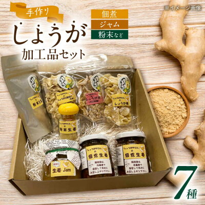 楽天ふるさと納税　【ふるさと納税】しょうがやさんの手作り人気セット 自家製 愛知県産 しょうが 愛西市/しょうがやさん [AEAO001]