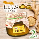 19位! 口コミ数「0件」評価「0」手づくり生姜ジャム 大瓶2本セット 自家製 愛知県産 しょうが 愛西市/しょうがやさん [AEAO002]