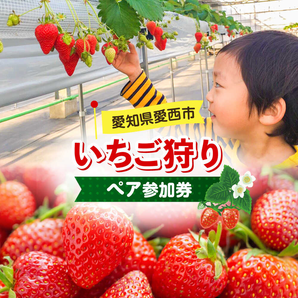 17位! 口コミ数「0件」評価「0」いちご狩り 40分食べ放題 ペア参加券 いちご 苺 いちご狩り 食べ放題 愛西市/有限会社マロンライフ[AEBN001]