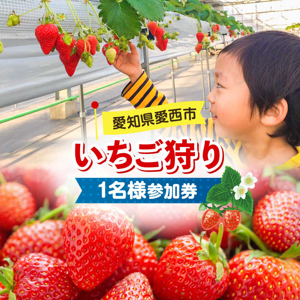 40位! 口コミ数「0件」評価「0」いちご狩り 40分食べ放題 1名様参加券 いちご 苺 いちご狩り食べ放題 愛西市/有限会社マロンライフ[AEBN002]