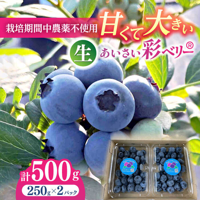 51位! 口コミ数「0件」評価「0」あいさい彩ベリー（ブルーベリー生果実）250g×2パック 産地直送 青果 ブルーベリー 愛西市/あいさいベリーLABO [AEBZ002]