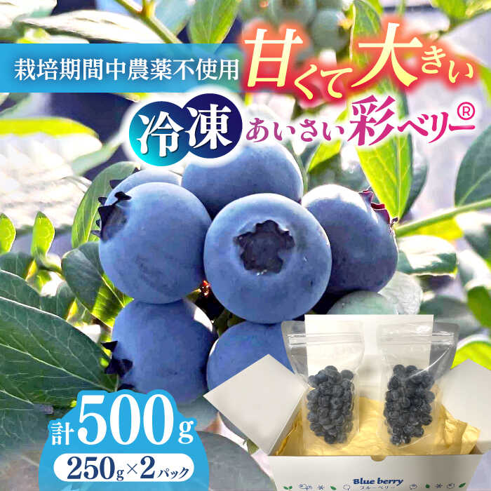 40位! 口コミ数「0件」評価「0」あいさい彩ベリー（冷凍果実）250g×2パック ブルーベリー フルーツ 冷凍 愛西市/あいさいベリーLABO [AEBZ003]