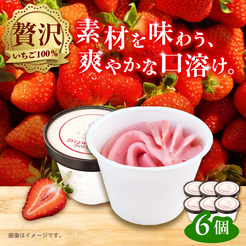 いちごソルベ いちご アイス ジェラート 愛西市 / しのだ農園-SHINODA FARM-[AECE007]