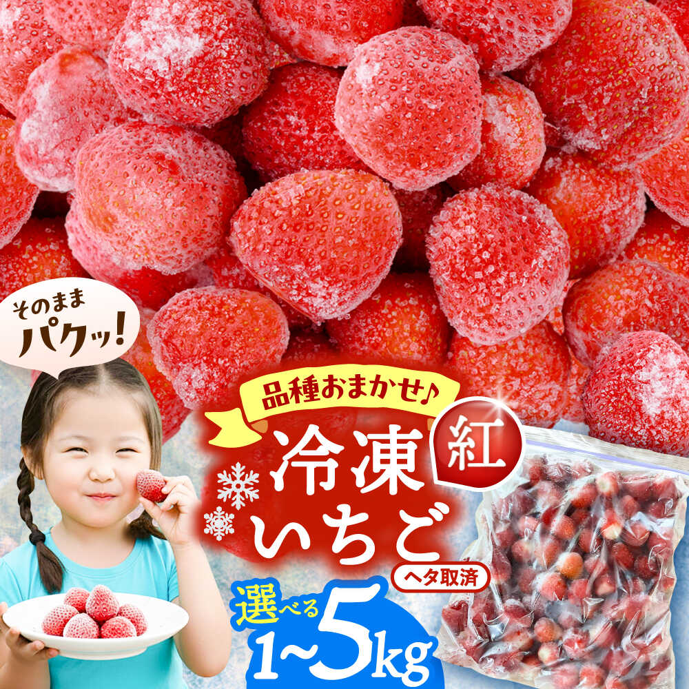 【ふるさと納税】＼選べる内容量／ 冷凍苺 1kg～5kg いちご 果物 フルーツ 苺 イチゴ 紅ほっぺ やよい..