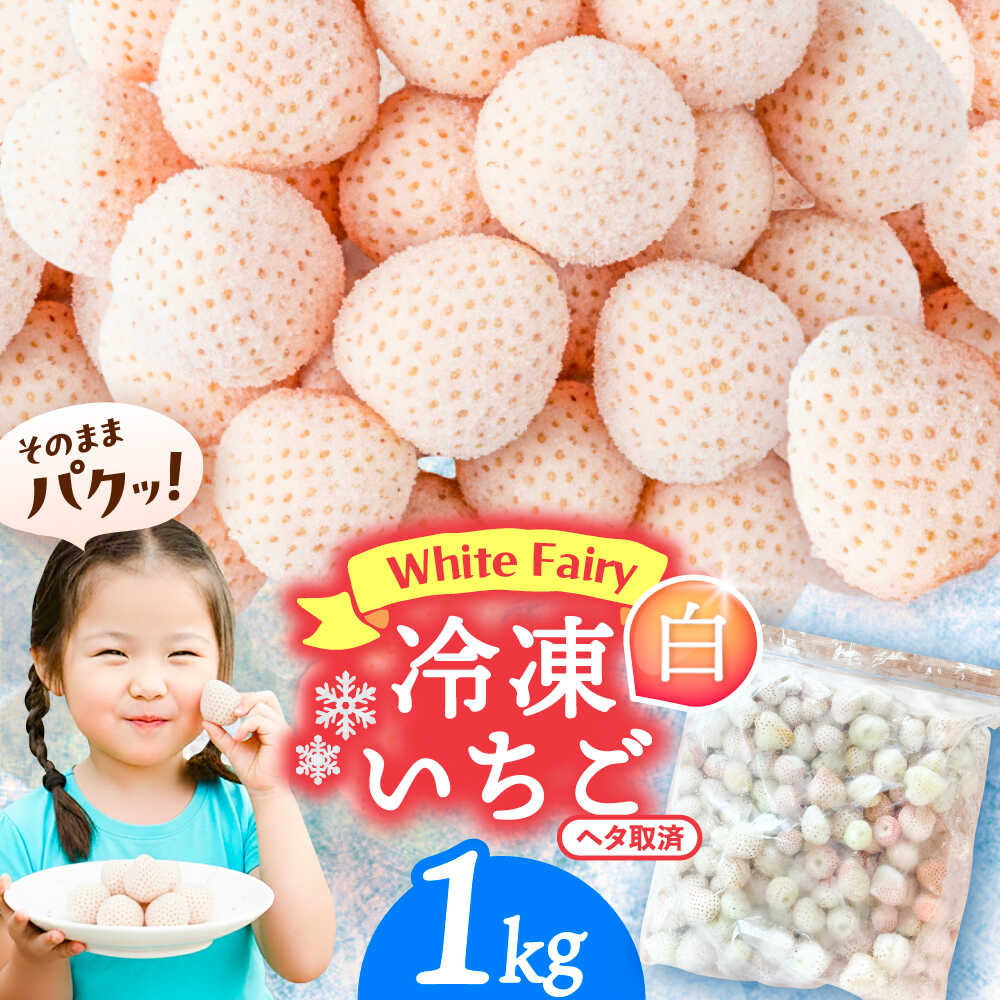 【ふるさと納税】冷凍白いちご 1kg 果物 フルーツ いちご 愛西市 / くぼ苺農園 【配達不可：離島】[AEC..