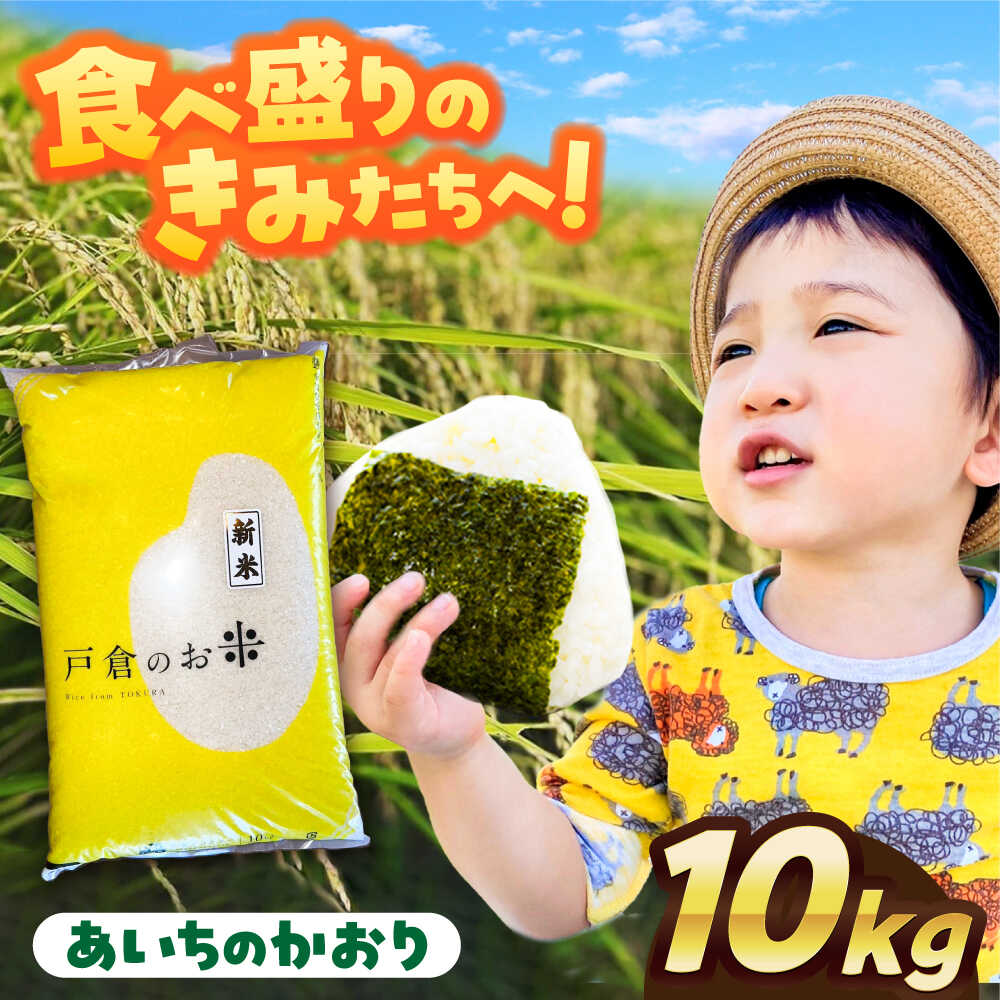 【ふるさと納税】【先行予約/10月より順発送】 【令和7年度産 新米 】 あいちのかおり 白米 10kg お米 ご飯 愛西市 / 戸倉トラクター ..