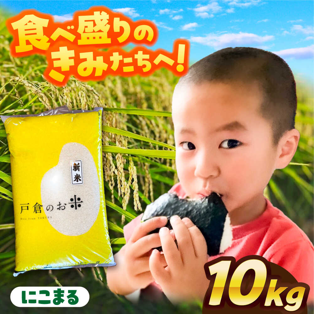 [先行予約/10月より順発送] [令和7年度産 新米 ] にこまる 白米 10kg お米 ご飯 愛西市 / 戸倉トラクター [配達不可:離島][AECS056]