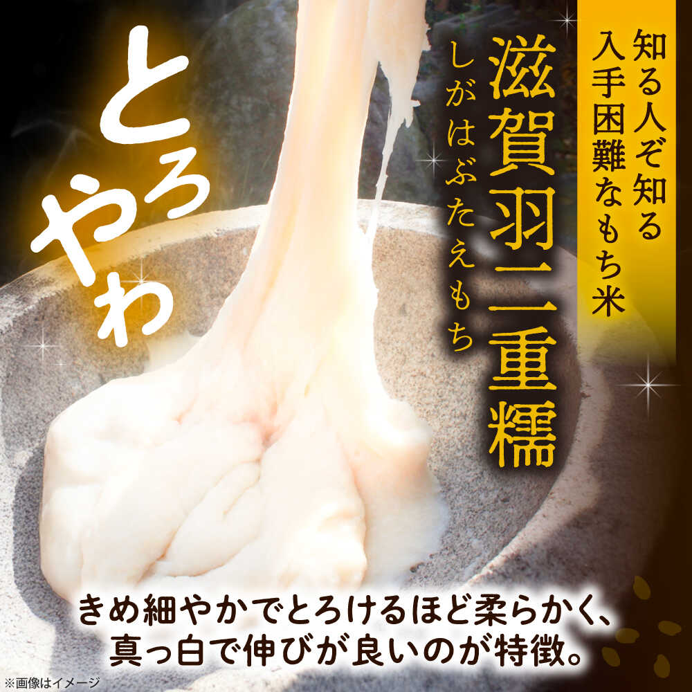 【ふるさと納税】もち米 450g×2袋 もち米 米 愛西市 / 株式会社TONORI[AECT029]