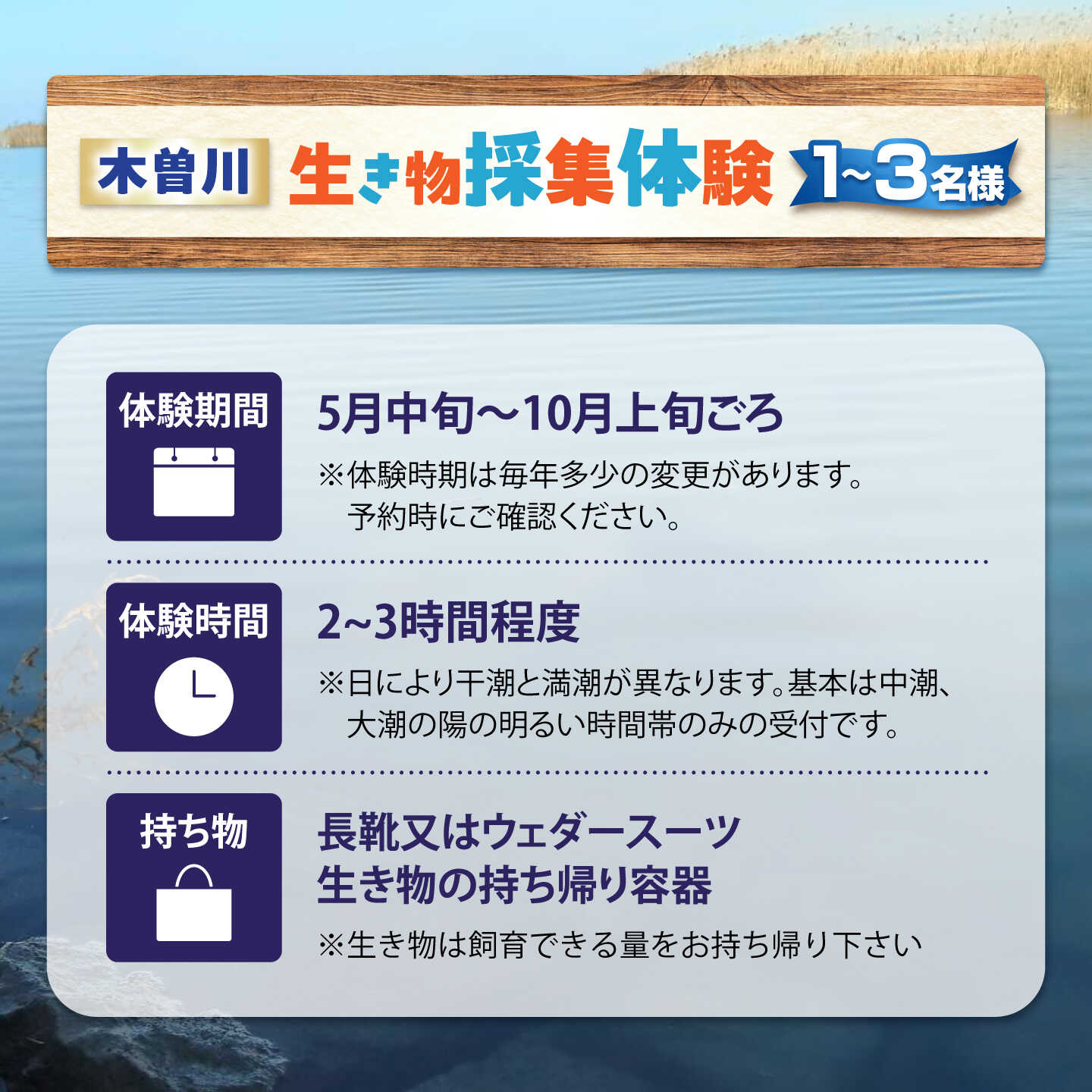【ふるさと納税】木曽川の生き物採集体験 1〜3名まで 体験 チケット 採集 愛西市 / 艶麗[AEDD007] f232327-aisai-10000749 愛知県愛西市 サンプル画像2