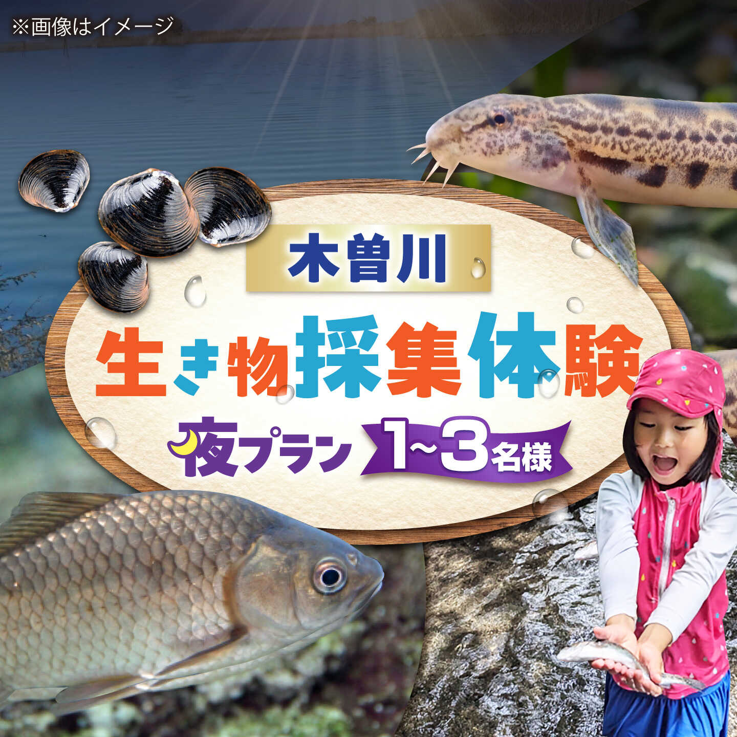 木曽川の生き物採集体験 (夜プラン) 1〜3名まで 体験 チケット 採集 愛西市 / 艶麗[AEDD008]