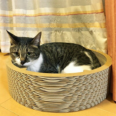 愛知県清須市の画像2