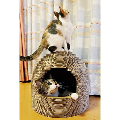 愛知県清須市の画像3