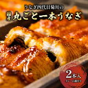 【ふるさと納税】うなぎ四代目菊川の「丸ごと一本鰻」2本入_ うなぎ 鰻 ウナギ 蒲焼き 蒲焼 かば焼き タレ 山椒 真空包装 真空 惣菜 おかず おつまみ 土用 丑の日 うな重 うな丼 ひつまぶし 贈答 ギフト プレゼント 冷凍 愛知県 送料無料 【配送不可地域:離島】【1228655】