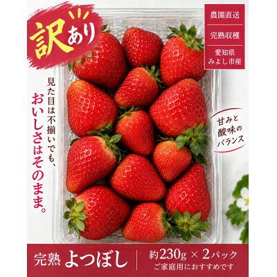完熟よつぼし 規格外 2パック