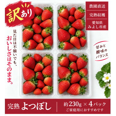 【ふるさと納税】【訳あり・家庭用】【産直】完熟よつぼし　規格外 4パック(約920g)【配送不可地域：離島・北海道・沖縄県・東北・中国・四国・九州】【1781864】