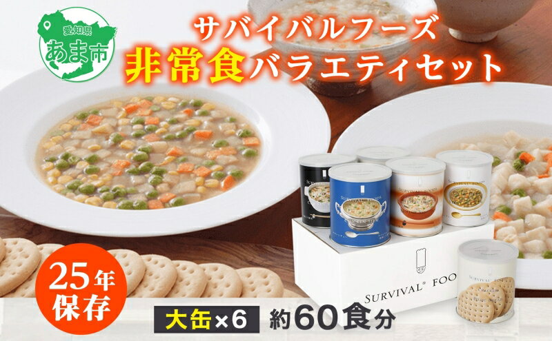 【ふるさと納税】【2024年4月末より順次発送】25年保存（非常食）サバイバルフーズ　大缶バラエティセット（60食相当）　【缶詰・非常食】