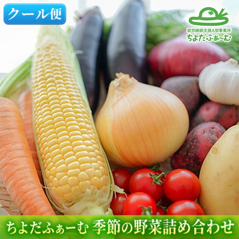 【ふるさと納税】【2024年4月中旬より順次発送】季節の野菜