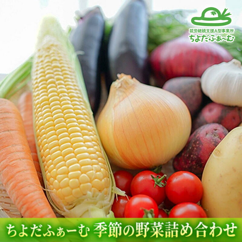 【ふるさと納税】季節の野菜詰め合わせ「ノウフク・プロジェクト」【就労支援】（常温便）　【 野菜 セット 詰合せ 農福 農福JAS 無農薬 常温 】　お届け：2023年10月15日～2024年3月15日･･･