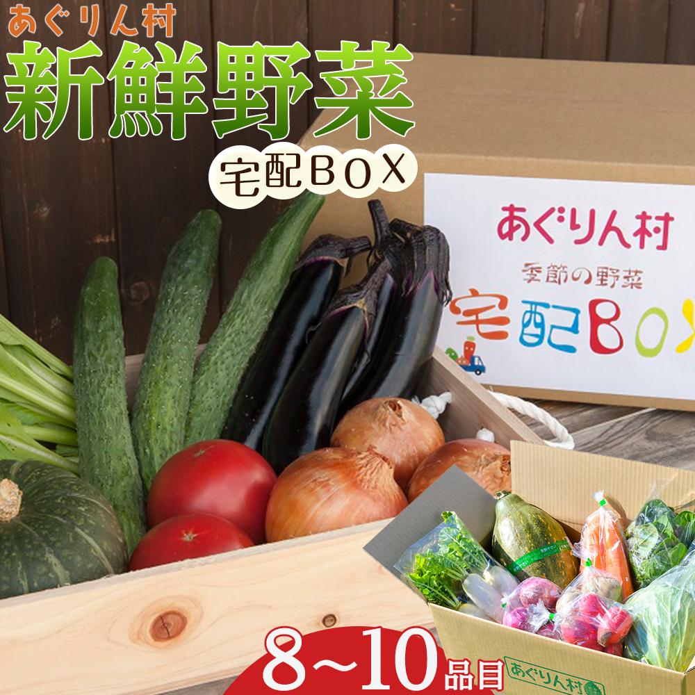 【ふるさと納税】あぐりん村の新鮮野菜宅配BOX　クール便配送