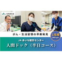 【ふるさと納税】【JAあいち健診センター】人間ドック (半日コース) 1名様 チケット