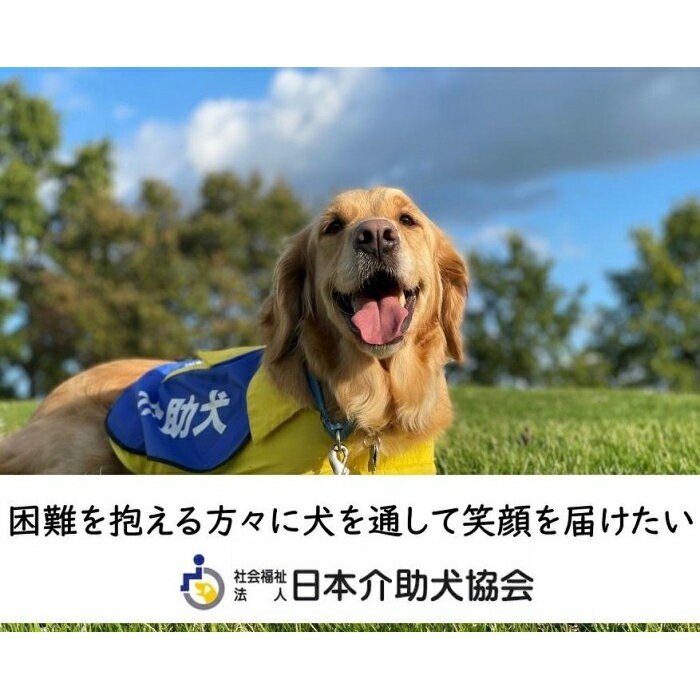 【ふるさと納税】【返礼品なし】困難を抱える方々に犬を通して笑顔を届けたい！「シンシアの丘」の活動を応援する 20,000円