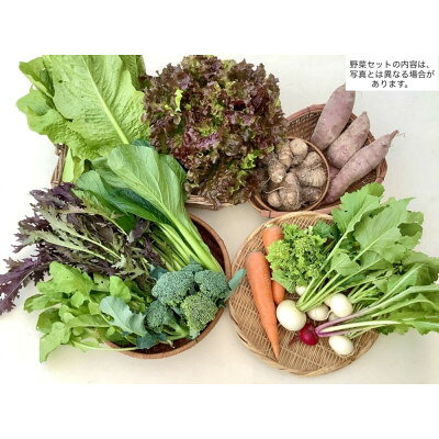 季節の野菜セットMサイズ【1459895】