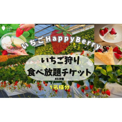 【ふるさと納税】愛知県東郷町にある　いちごHappyBerryのいちご狩り招待券　1名様【1465476】