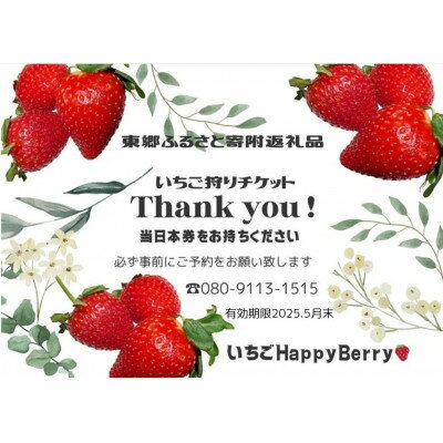 【ふるさと納税】愛知郡東郷町の農園いちごHappyBerryのいちご狩り招待券2名様(トッピング2品付)【1467925】