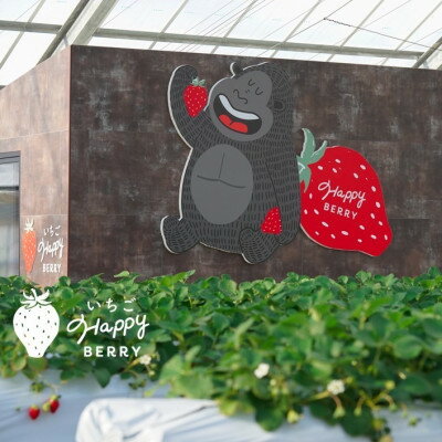 【ふるさと納税】愛知郡東郷町の農園いちごHappyBerryのいちご狩り招待券2名様(トッピング2品付)【1467925】その2