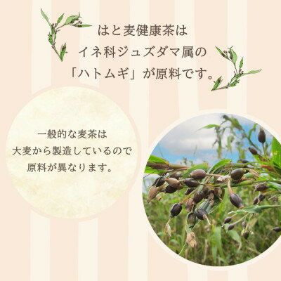 愛知県大口町の画像2
