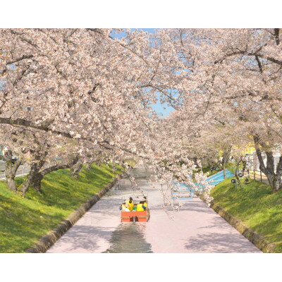 大口町五条川遊覧船 親子ペア乗船券(引換券)